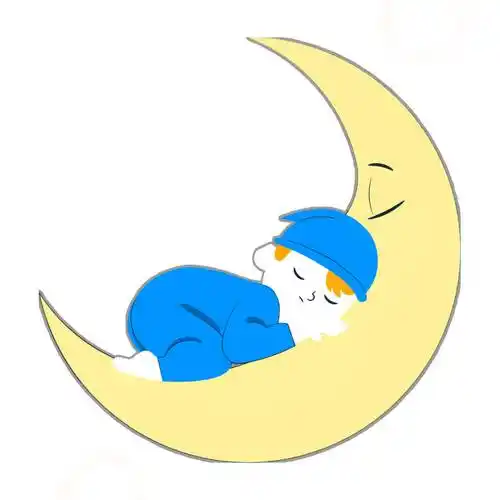 《我们为什么要睡觉》-12条健康睡眠小贴士_时间_进行_锻炼