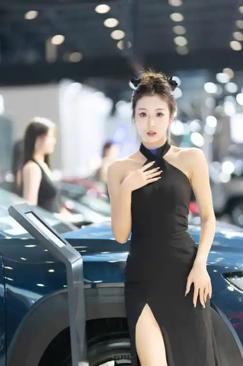 海口国际车展的车模小姐姐们_搜狐汽车_搜狐网