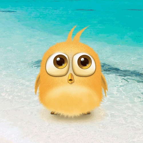 67什么是抱团取暖|取暖|小鸟|部族_新浪新闻