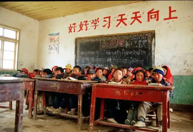 高高的白杨树:回忆70年代农村小学生活_幼儿教育_教育新闻 - 265学校