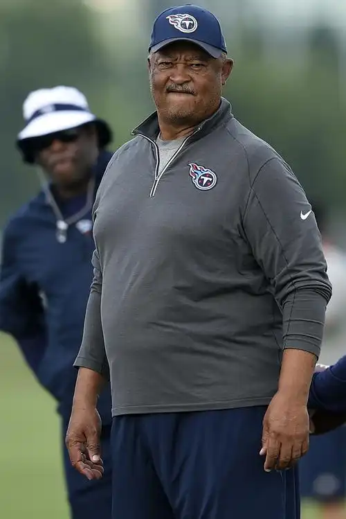 bills interview ex-titans oc terry robiskie