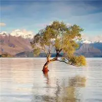 好看吉利招财的风景头像