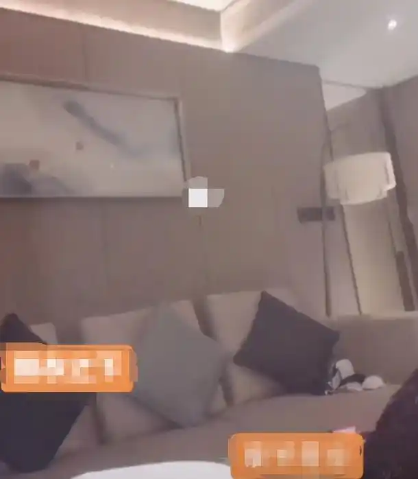 "娃娃脸"谭松韵豪宅曝光,千万住宅让人羡慕,装修奢华大气