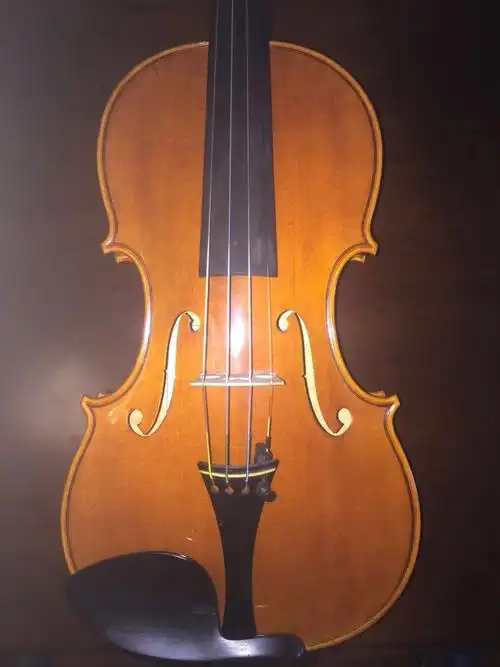 大家帮我看看这个小提琴值多少钱