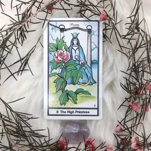 牌b:女祭司 正位