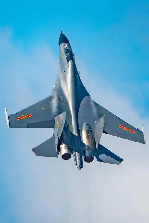 歼11bs战斗机资料图