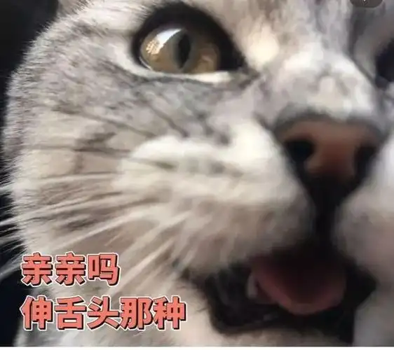 高级污污款试试把表情包发给那个"他"记得把他的反应发给我!