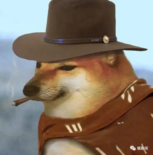 笑话沙雕搞笑幽默图片五七七