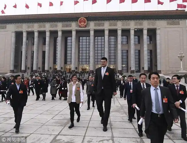 成龙现身两会"老干部"范十足 姚明干练正装身高引人注目