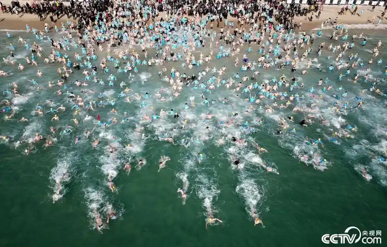 韩国釜山举办北极熊游泳节4000多人下海冬泳