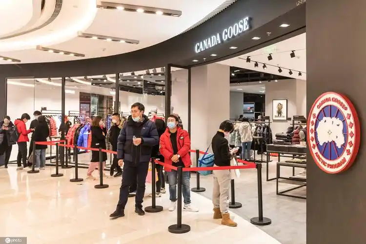 上海气温骤降加拿大鹅受热捧 市民门店外大排长龙等待购买