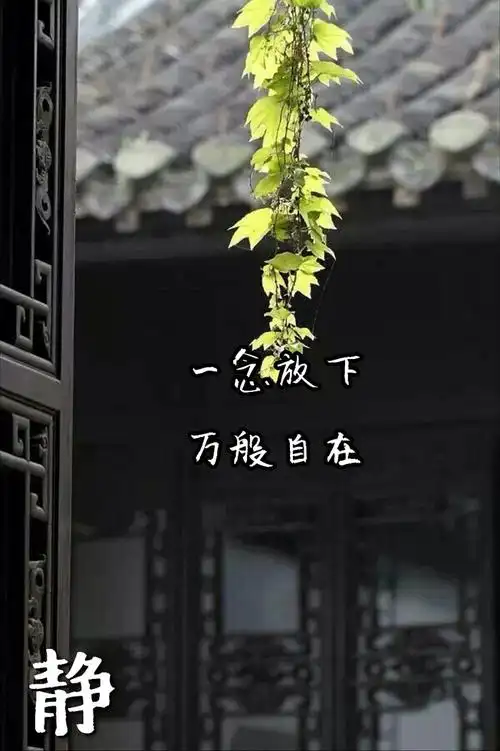 一念放下 万念皆空