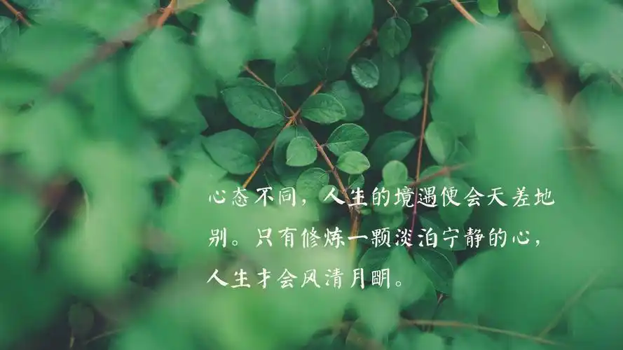 关于美好人生的心情说说治愈句子图片