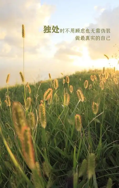 励志正能量语录文案配图