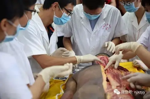 没有解剖学就没有医学2019年1月12日全国第十一届深圳新鲜尸体解剖班