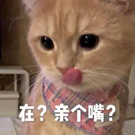 在?亲个嘴? - 今日份猫猫表情包