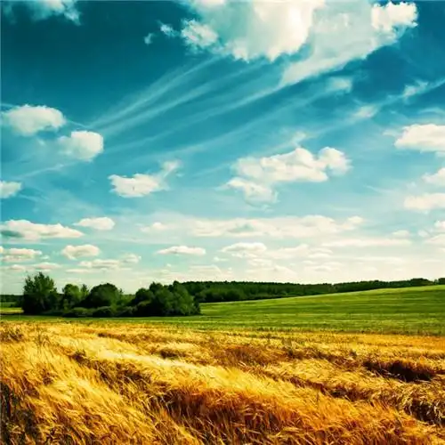 适合一辈子风景头像图片