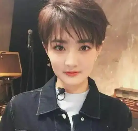 谁能给我介绍几款干净利落帅气的纯黑女生短发.-好发型