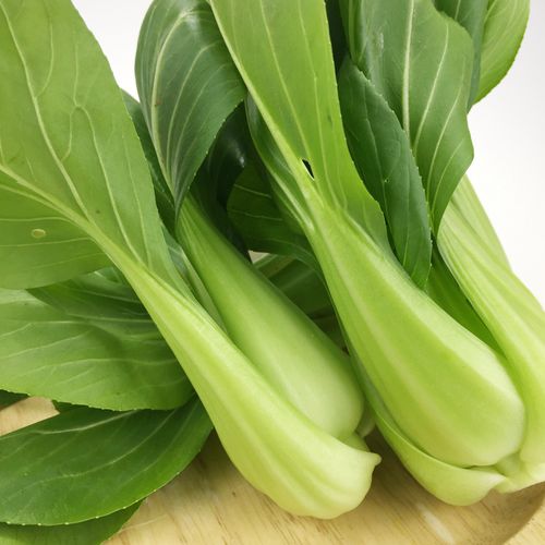 密之蓝天农家新鲜蔬菜油菜约450g生鲜嫩宝宝小油菜鲜嫩叶菜类火锅食材