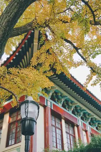 南京师范大学(随园校区)-"去南京好多次没有去过南师大,这次正是秋天.