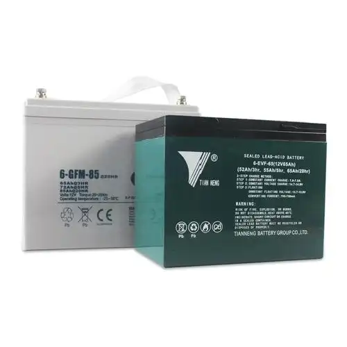 电动叉车配件蓄电池组中力杭叉诺力合力电瓶液12v48v大地牛启动型