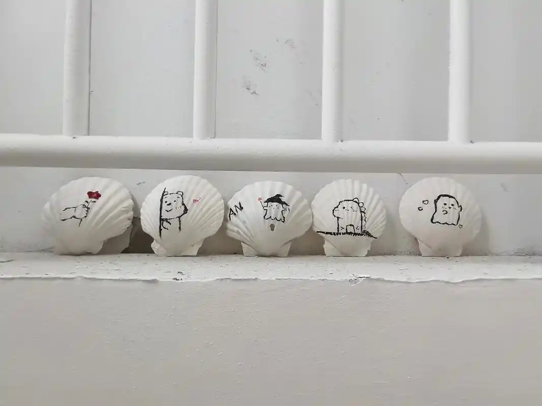 简单试了试,搜一贼～ #贝壳画#简笔画#diy#画画 - 抖音