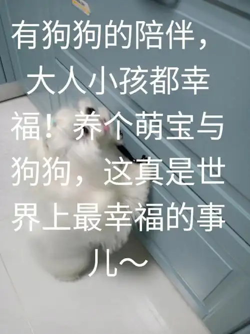 你做饭它就跟着你上厨房,你洗衣服,它就跟你上洗衣房,你休息,狗狗就趴