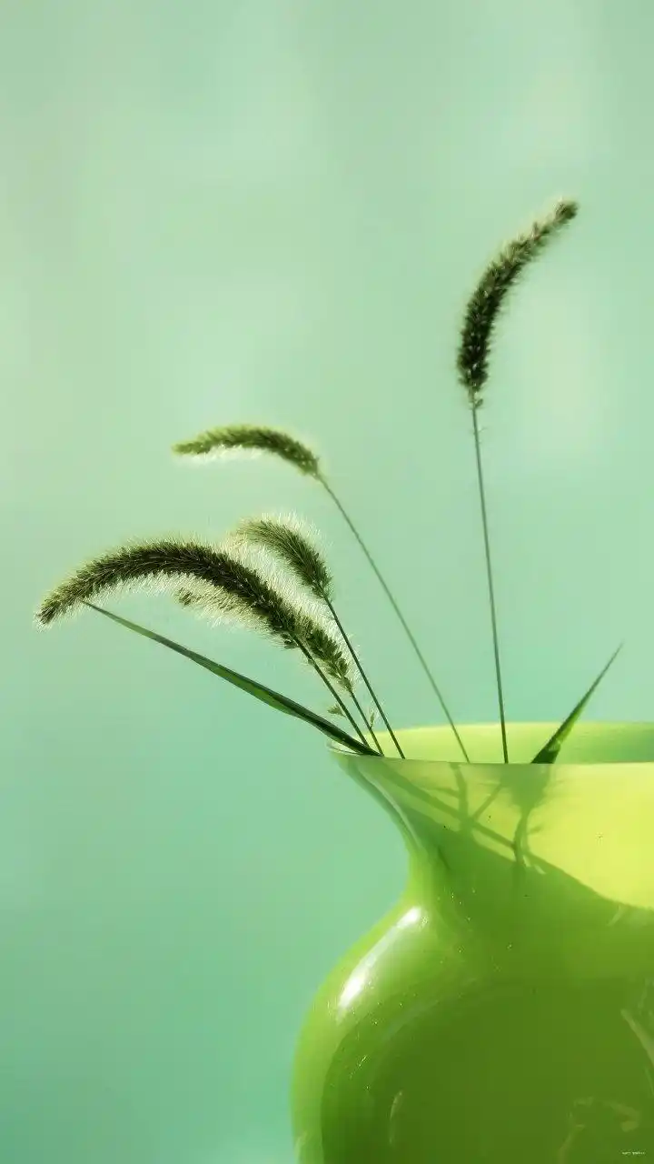 手机护眼壁纸分享