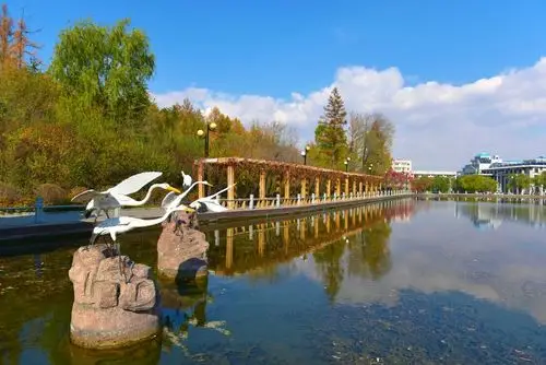 深秋～林口～快乐的一天 (2017.10.16)