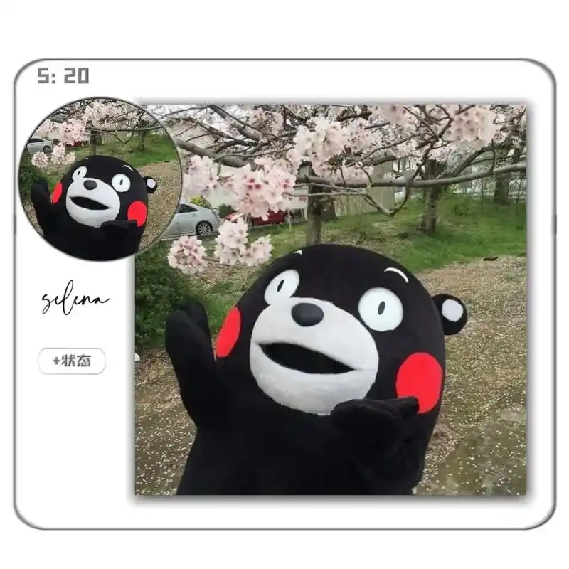 熊本熊表情包头像.#熊本熊 #搞怪 #萌萌的 #超萌 #憨憨 - 抖音