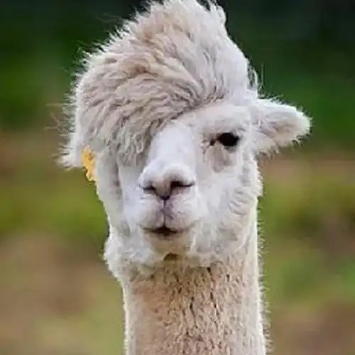 抖音潮图搞怪头像图片 高清好看的抖音逗比搞怪头像_搞笑头像_头像屋