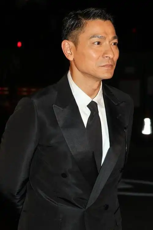 刘德华回应隐婚:揭秘娱乐圈中艺人婚姻的困境与抉择