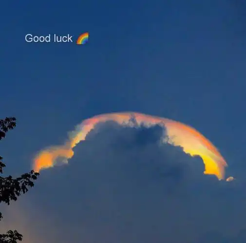 唯美ins风背景图