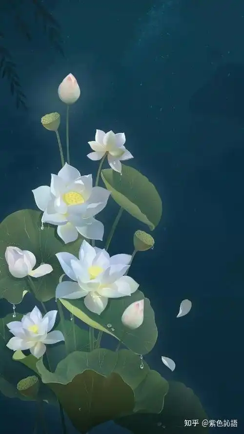 让人心静的手机壁纸