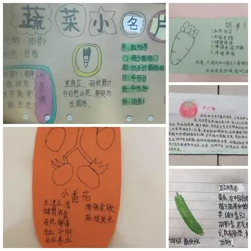 刘月庄学校综合实践活动与劳动教育——我和蔬菜交朋友