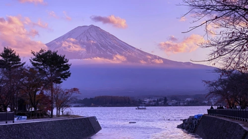 回车桌面>电脑壁纸>风景>城市唯美浪漫紫色晚霞>相关标签城市唯美浪漫