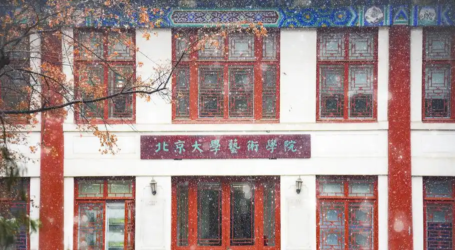 1】pick you: choose your story 选择你的"北大故事"-北京大学国际