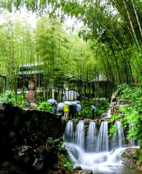 宜兴竹海"拍了拍"你丨竹海深氧之旅,速来打卡!