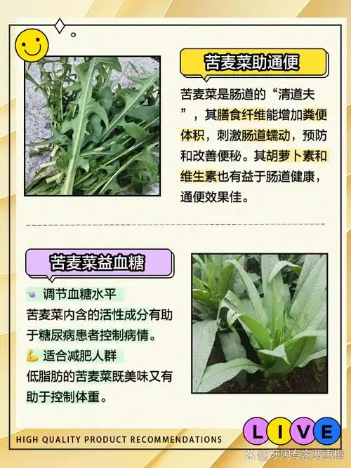 苦麦菜的功效和作用 姐妹们有没有发现,平时不起眼的苦麦菜竟然是个