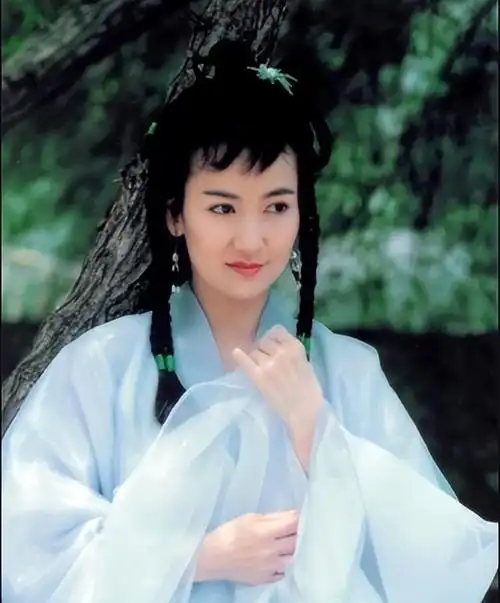 60岁陈美琪现状(幼年遭父母抛弃)(25)