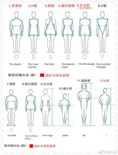 12种身材体型一
