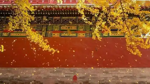 送您一组故宫当季手机壁纸请查收