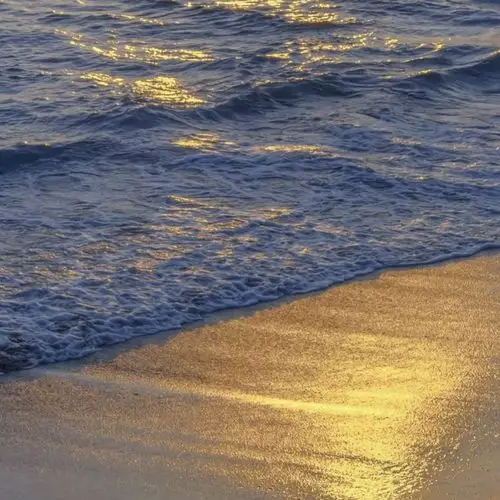 标签:治愈系小清新ins风