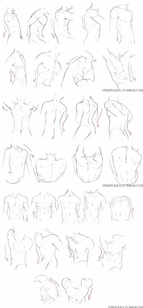 教你画出像兄贵一样结实的肌肉,男性人体比例基础绘画教程