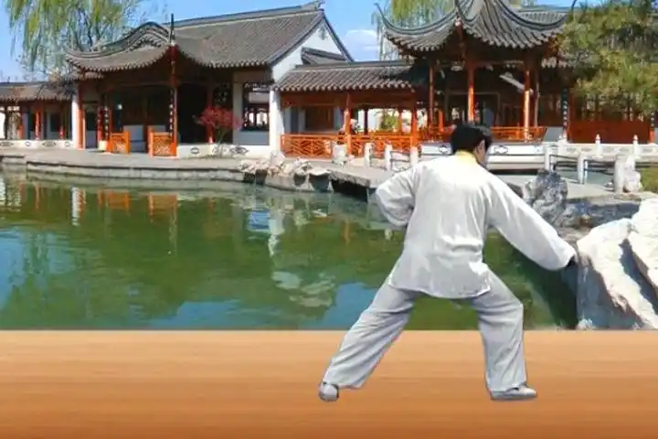 陈正雷老师老架二路教学第三十一式:掩手肱拳