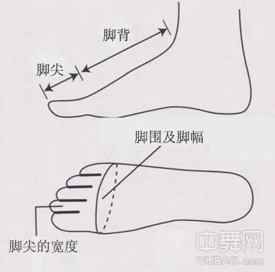 脚幅应该是指大脚趾和小脚趾跟部附近一周的尺寸,却不等于脚尖的宽度