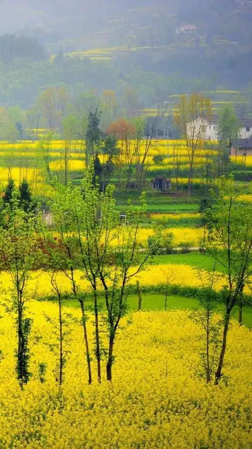 安利城市春景##旅游风景##我的春日纪实##旅行打卡