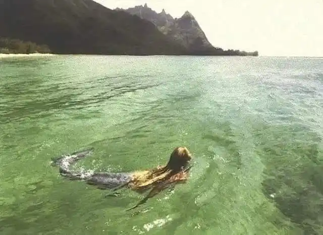 胖胖的海牛真的是美人鱼吗?为什么?