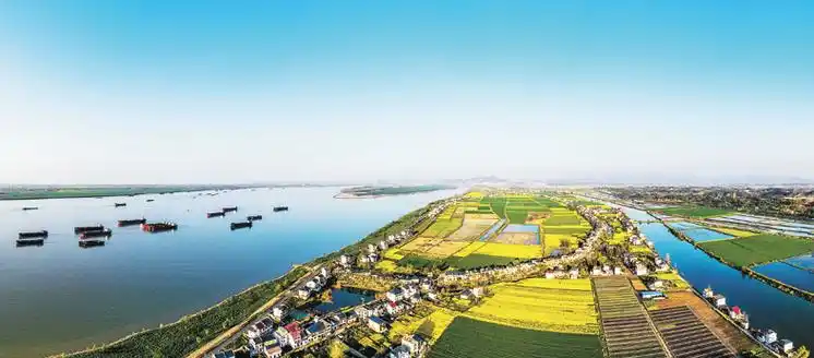 长江江西九江彭泽段,生态优美,生机盎然.