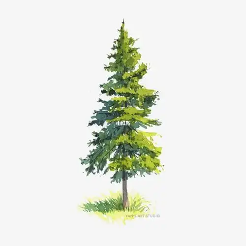 水彩|树的绘制方法